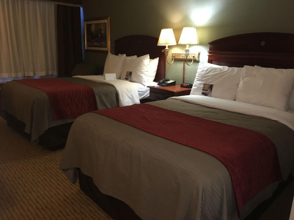 Comfort Inn Springfield Bagian luar foto