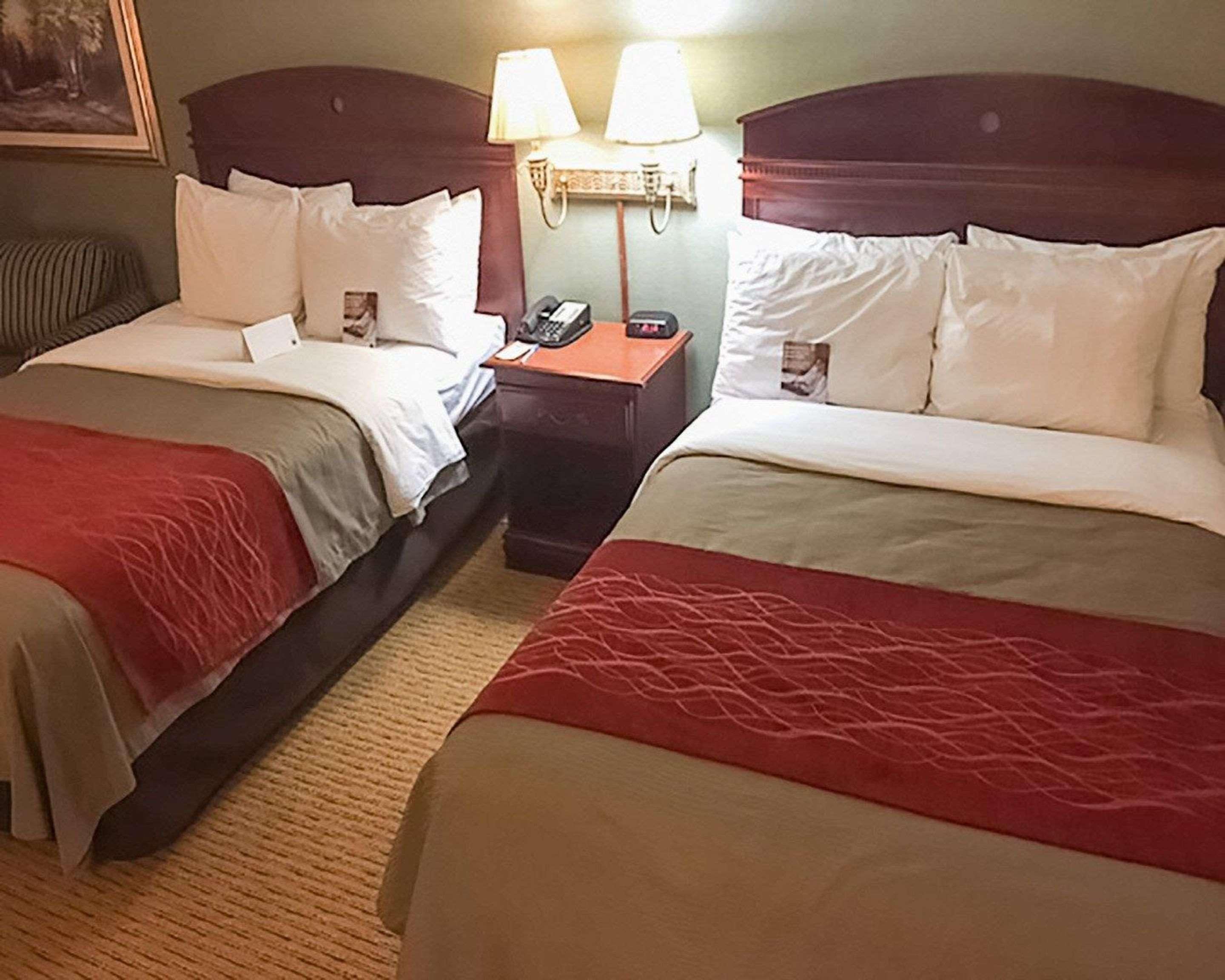 Comfort Inn Springfield Bagian luar foto